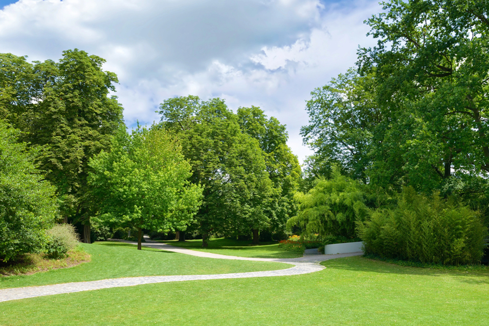 Parks, green spaces, and community amenities